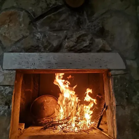 Frane Knezevici